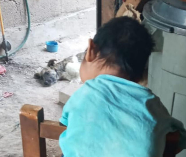 Mi cuerpo como en una jaulaMi cuerpo como en una jaula