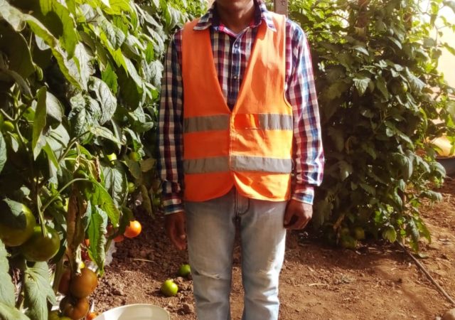 Las historias entre los surcos