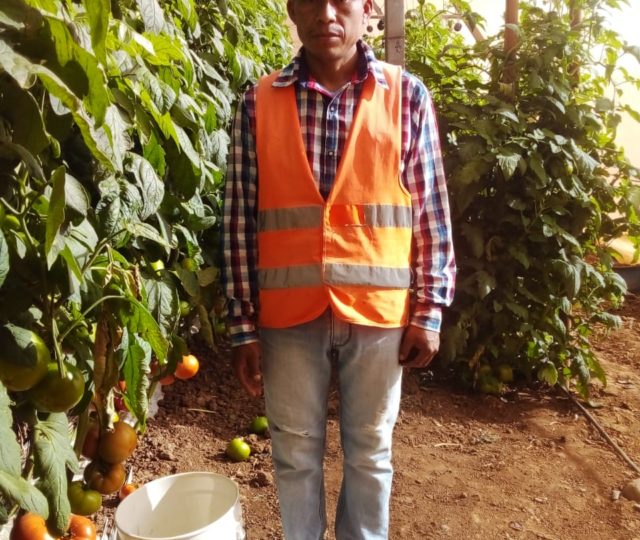 Las historias entre los surcos