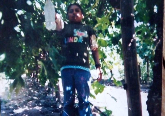 Entre las balas y los surcos