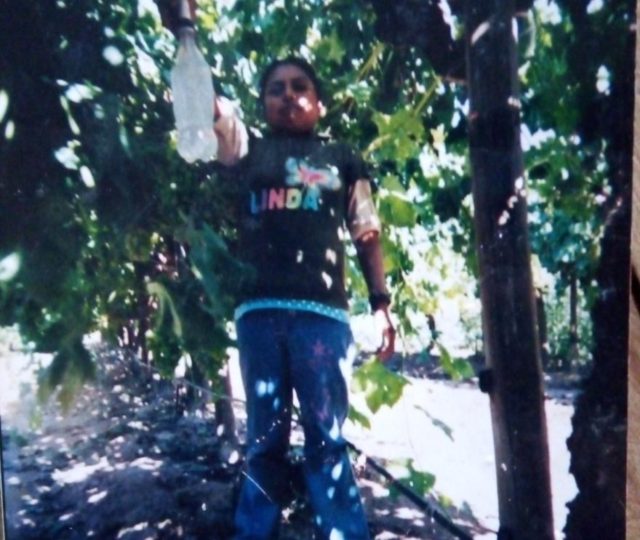 Entre las balas y los surcos