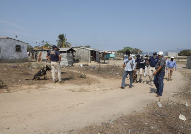 ¿Dónde está Vicente?