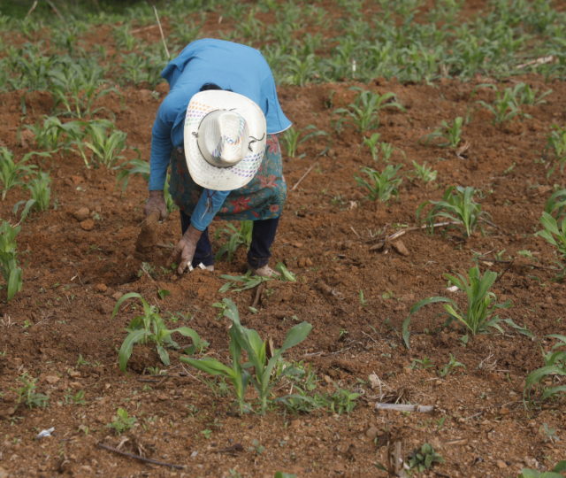 Chiepetepec: Lo más triste, al final siempre nos tenemos que ir