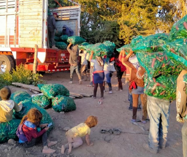 En el abandono más de 15 mil indígenas jornaleras y jornaleros