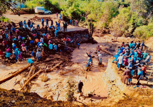 Que el maíz abra los caminos de la Montaña