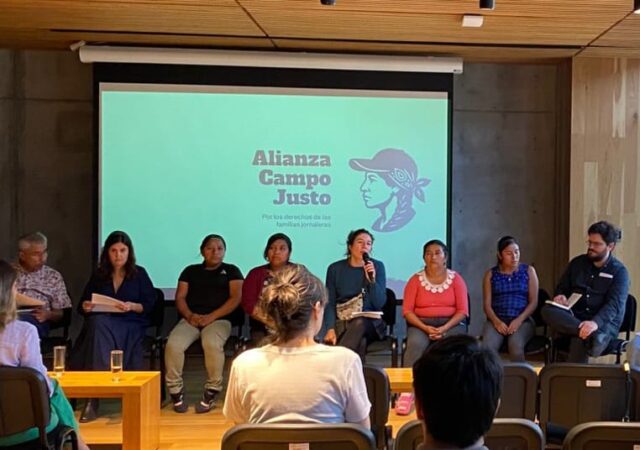 Alianza Campo Justo: Pendientes aún las acciones previstas en el PND para mujeres jornaleras