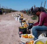 En los surcos “te mueres por enfermedad o por hambre”