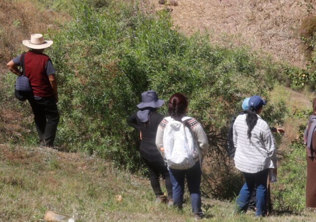 Una Montaña de buscadoras y desaparecidas