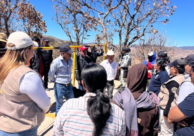 Búsquedas ante el asedio de la delincuencia y la indiferencia de las autoridades