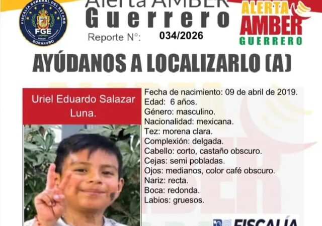 Contra la violencia vicaria, madre busca a su hijo de 6 años