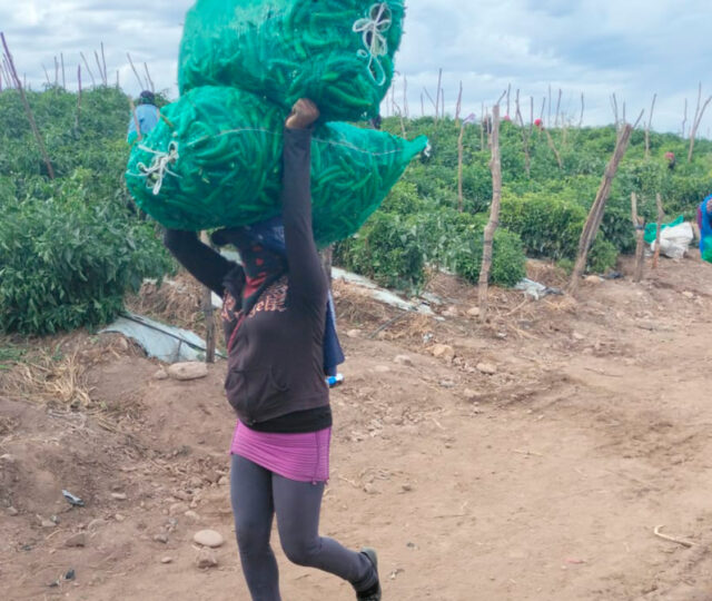 El viacrucis de las mujeres trabajadoras agrícolas