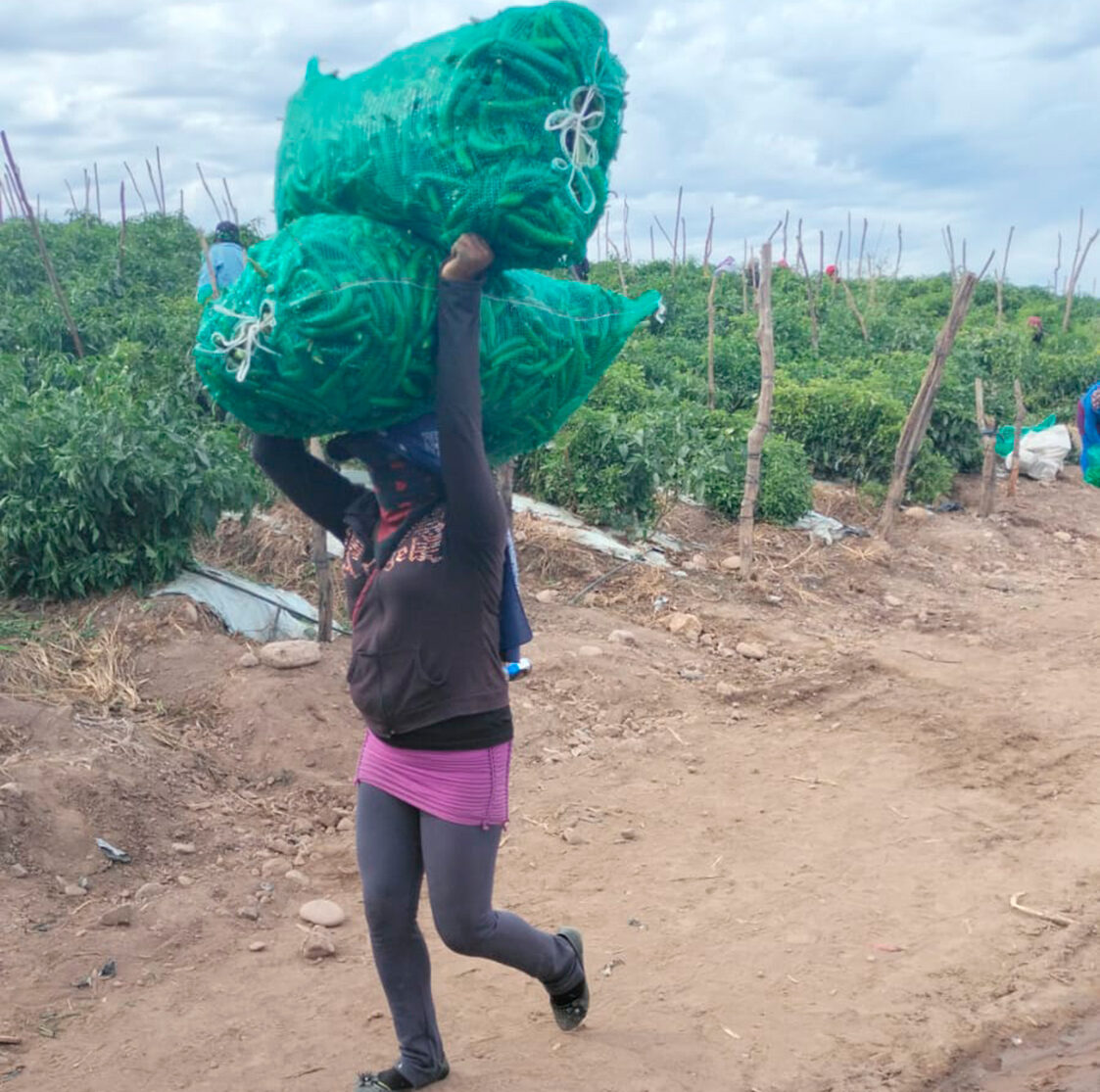 El viacrucis de las mujeres trabajadoras agrícolas