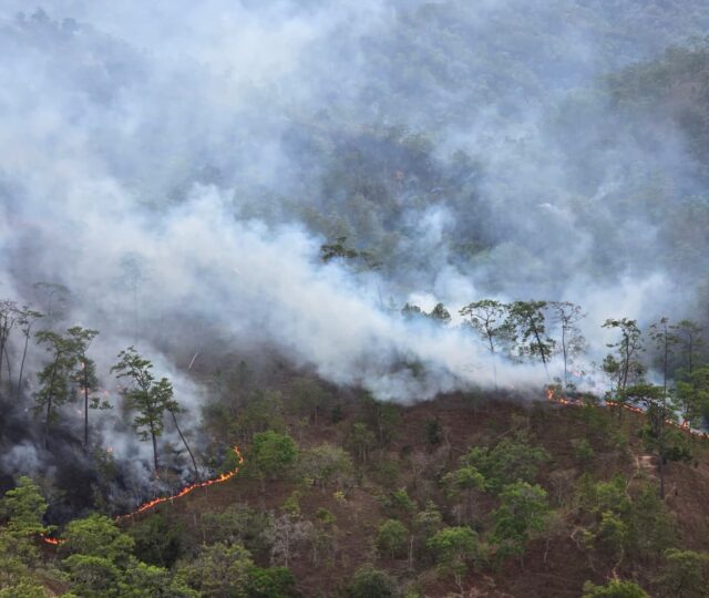 Las llamas han consumido 385 hectáreas de bosque en la Montaña de Guerrero