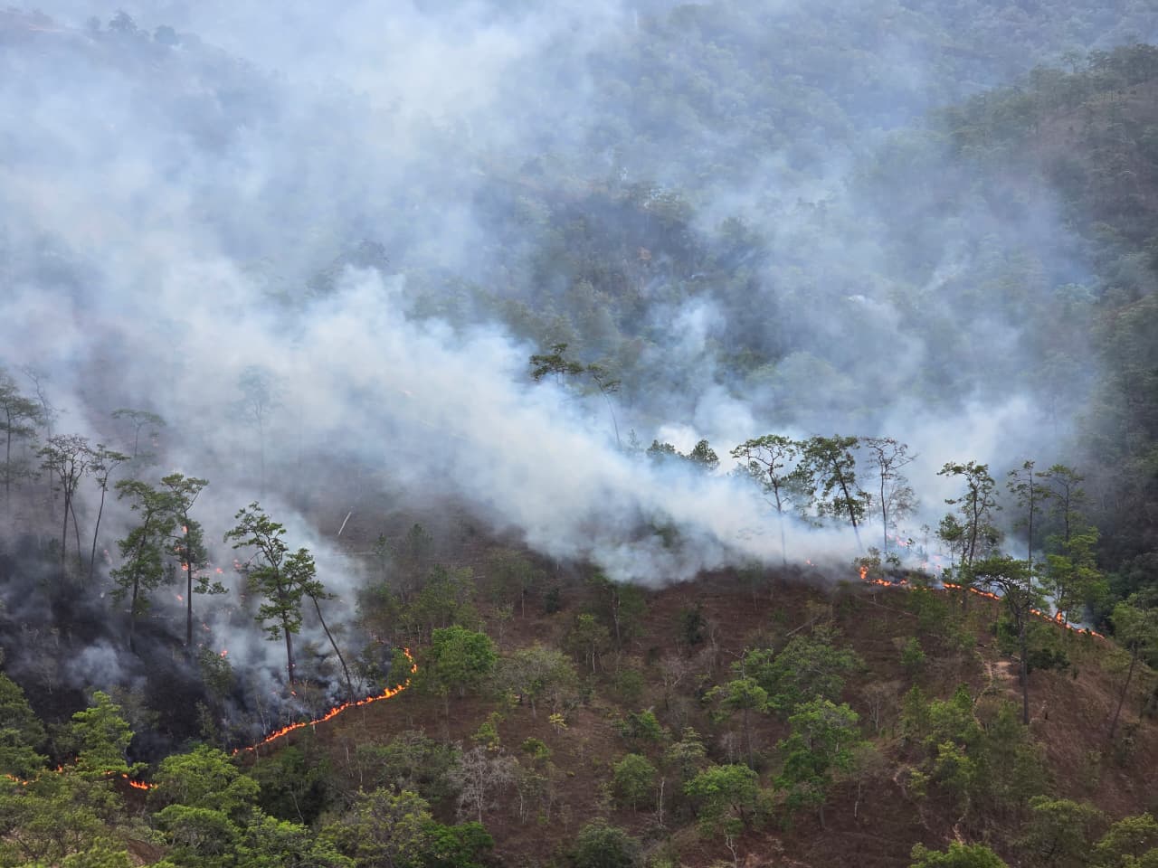 Las llamas han consumido 385 hectáreas de bosque en la Montaña de Guerrero