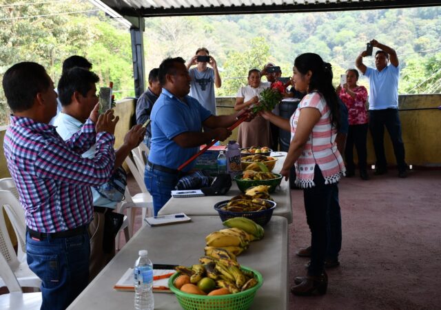 Ruperta: primer presidenta del CRAADET en la Montaña de Guerrero